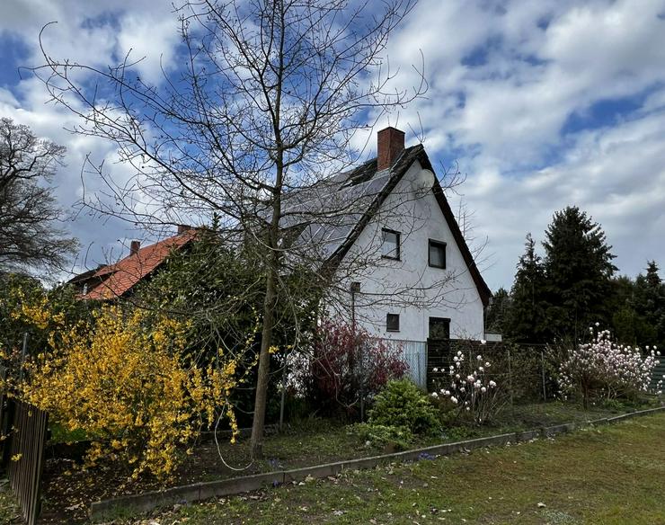 Bild 3: Einfamilienhaus mit PV-Anlage und vielen Extras im Rundlingsdorf (Wendland)