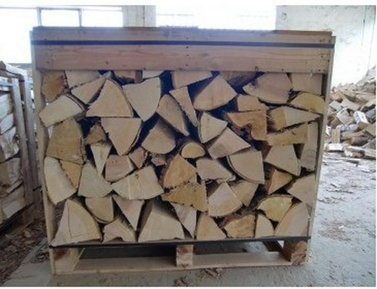 Verkaufe brennholz ideal für die Heizperiode 2024