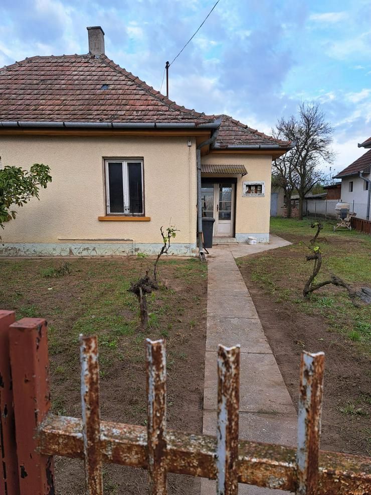 Bild 2: Haus zu vermieten in Ungarn an Rentner oder Auswandrer 