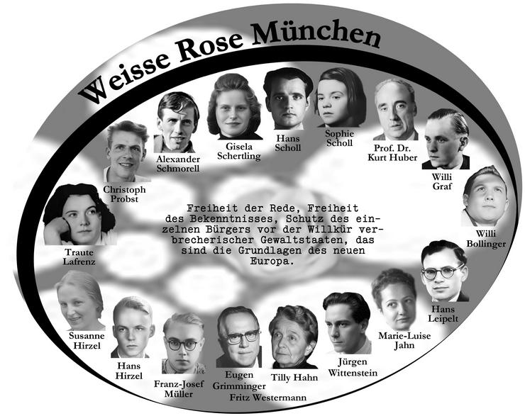 Weisse Rose - Dauer - Ausstellung, Schenkung (zu verschenken, kostenlos)