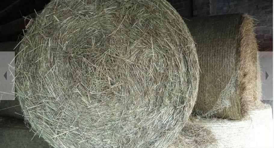  Heu Pferdeheu Pferdefutter Rundballen Heuballen Wiesenheu