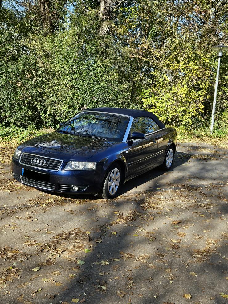 Bild 7: Audi A 4 Cabriolet