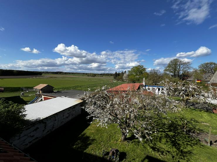 Bild 2: Ursprungsbelassene, historische Fachwerkschönheit im Rundlingsdorf Schmarsau (Wendland)