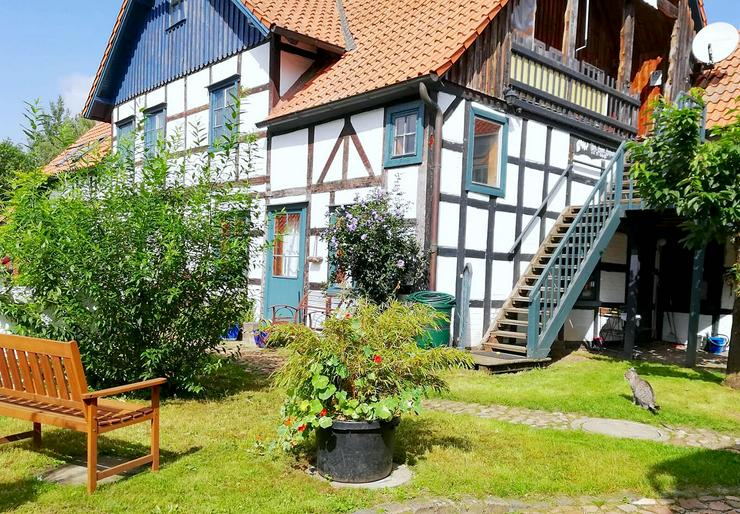 Ursprungsbelassene, historische Fachwerkschönheit im Rundlingsdorf Schmarsau (Wendland) - Bauernhäuser - Güter & Höfe - Bild 4