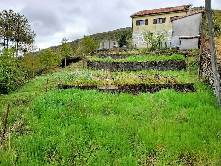 Bild 5: Berggrundstück im Norden Portugals