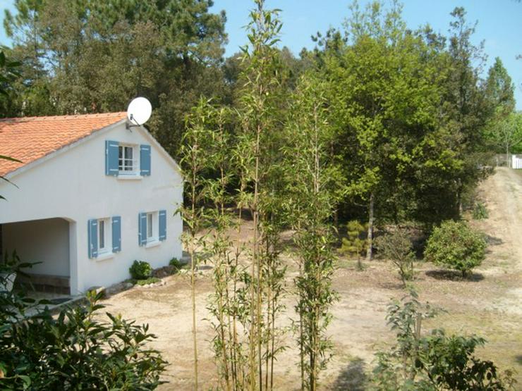 Urlaub mit Hund im Badeort Saint Jean de Monts (F-atlantische Küste) - Ferienhaus Frankreich - Bild 2