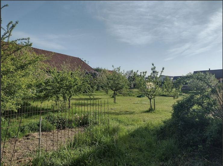 Hofstelle Resthof Pferde Selbstversorger 3000qm Wohngemeinschaft Mehrfamilienhaus Kapitalanleger Regensburg München