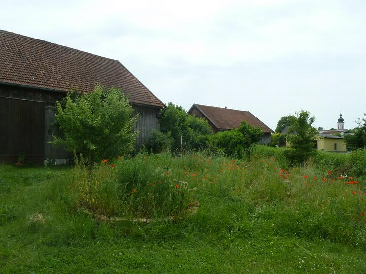 Bild 4: Hofstelle Resthof Pferde Selbstversorger 3000qm Wohngemeinschaft Mehrfamilienhaus Kapitalanleger Regensburg München