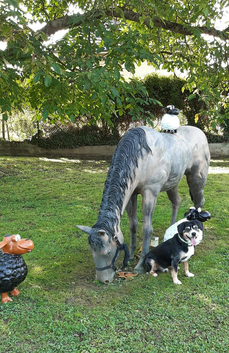 Broncepferd* in Pferdegrösse - Figuren - Bild 2