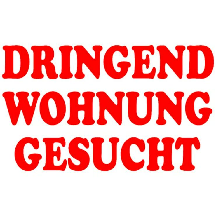 Suche 1 - 3 Zimmer-Wohnung (max. 50qm) in Neumünster. - Wohnung mieten - Bild 1