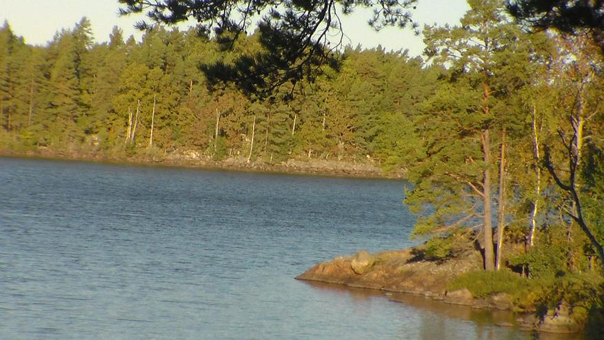 Süd-Schweden Vermiete Ferienhaus mit Boot direkt am See Alleinlage keine Nachbarn Angelurlaub - Ferienhaus Schweden - Bild 7