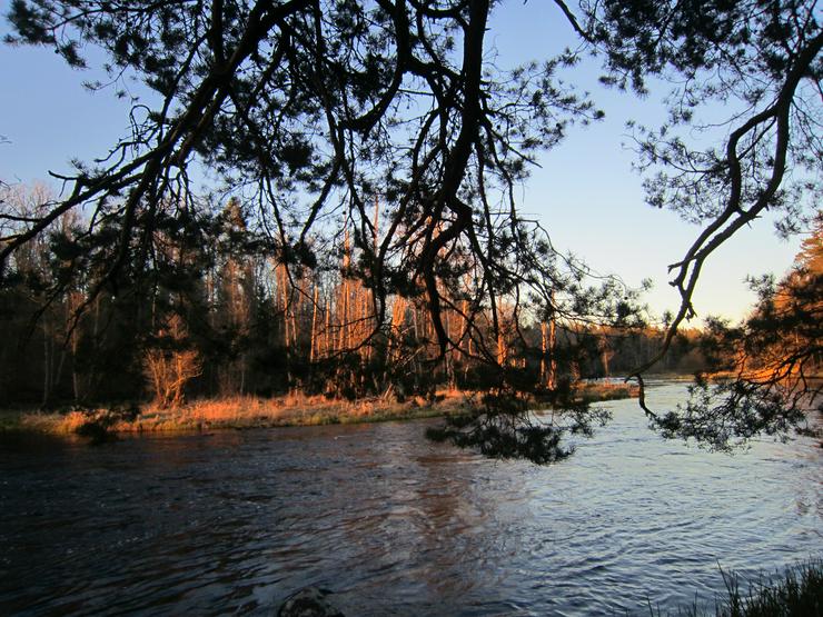 Angelurlaub in Ferienhaus m. Boot in Süd-Schweden ohne Nachbarn, 50m z. Lachsfluss  - Ferienhaus Schweden - Bild 3