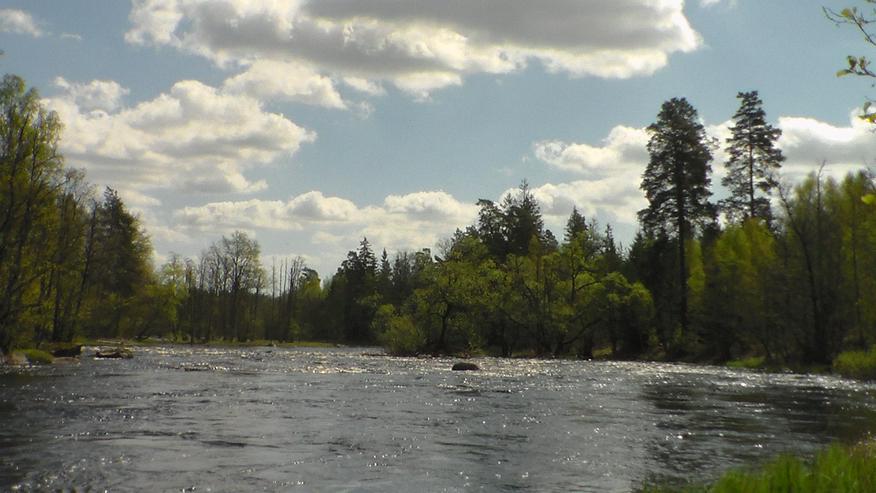 Bild 8: Angelurlaub in Ferienhaus m. Boot in Süd-Schweden ohne Nachbarn, 50m z. Lachsfluss 