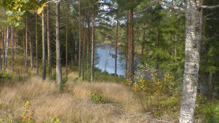 Bild 7: Angelurlaub in Ferienhaus m. Boot in Süd-Schweden ohne Nachbarn, 50m z. Lachsfluss 