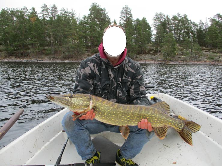 Angelurlaub in Ferienhaus m. Boot in Süd-Schweden ohne Nachbarn, 50m z. Lachsfluss  - Ferienhaus Schweden - Bild 16