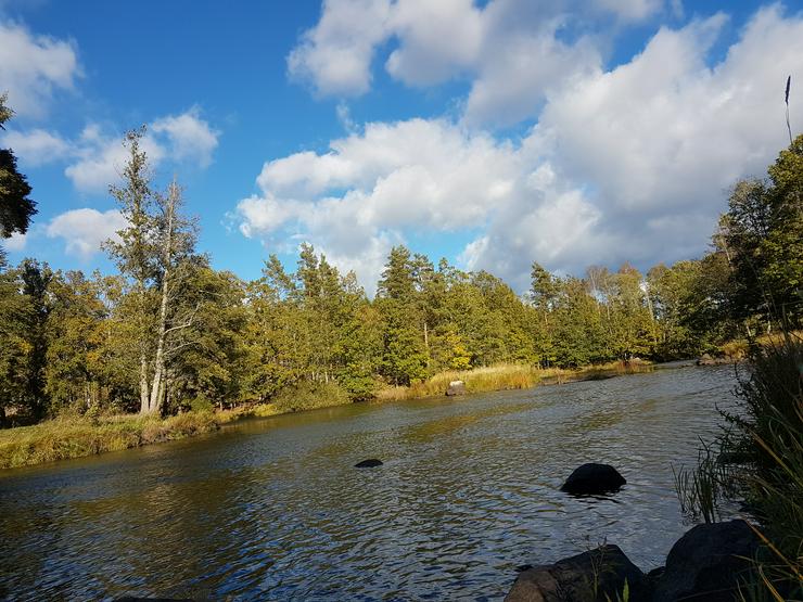 Angelurlaub in Ferienhaus m. Boot in Süd-Schweden ohne Nachbarn, 50m z. Lachsfluss  - Ferienhaus Schweden - Bild 11