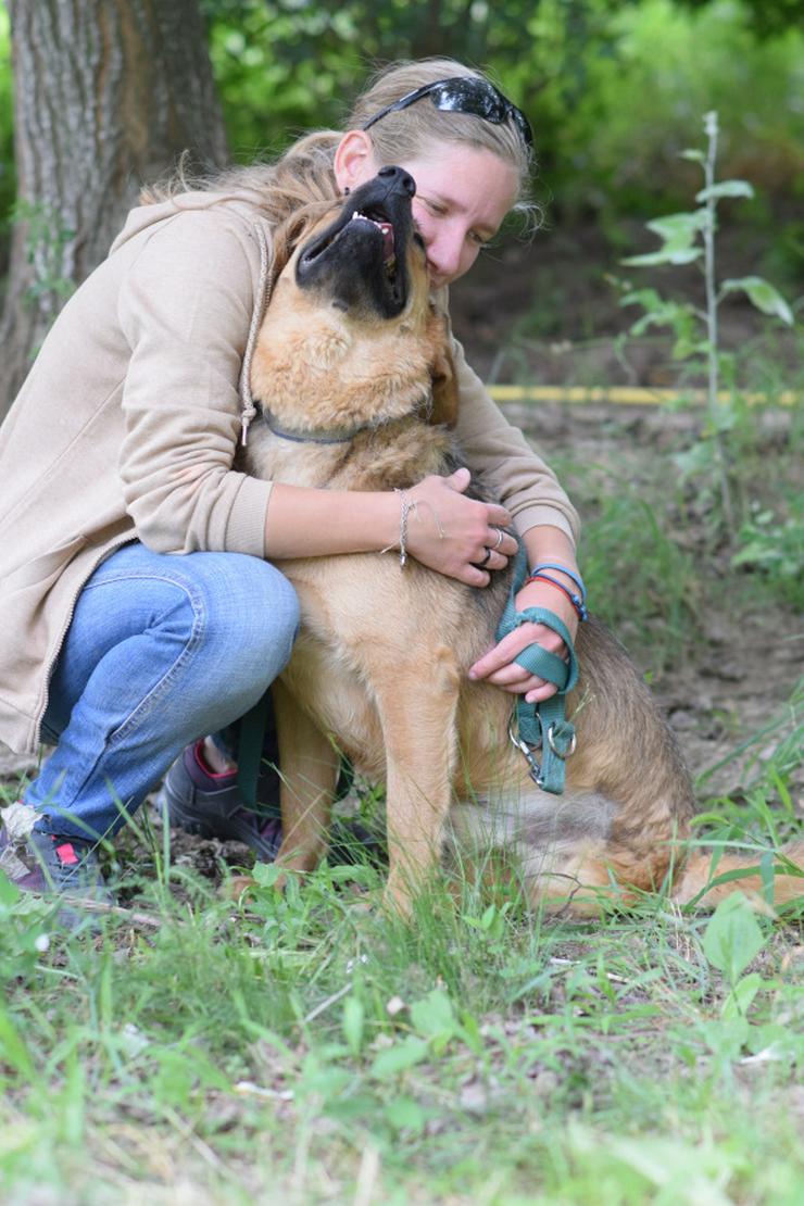 Bild 9: Podrik ist ein guter Hundejunge.