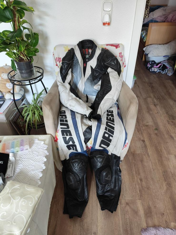 Bild 1: Gr. 56, DAINESE Leder Kombi mit integrierten Protektoren!