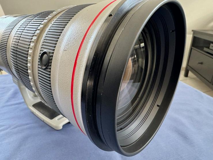 Bild 4: Canon EF 200-400mm F/4L IS USM Extender 1,4x Telezoom-Objektiv - Profi Lens