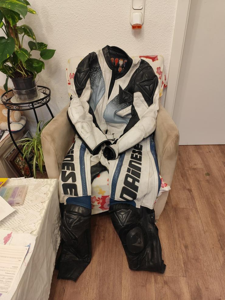 Bild 1: Gr. 56, DAINESE Leder Kombi mit integrierten Protektoren!