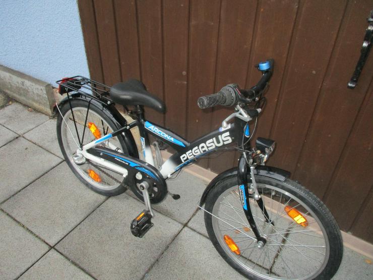 Bild 2: Kinderfahrrad 20 Zoll von Pegasus Arcona Versand möglich