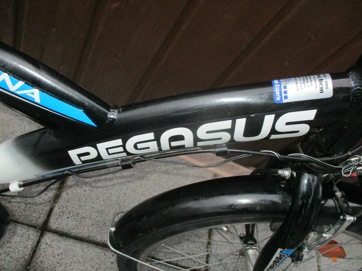 Bild 3: Kinderfahrrad 20 Zoll von Pegasus Arcona Versand möglich