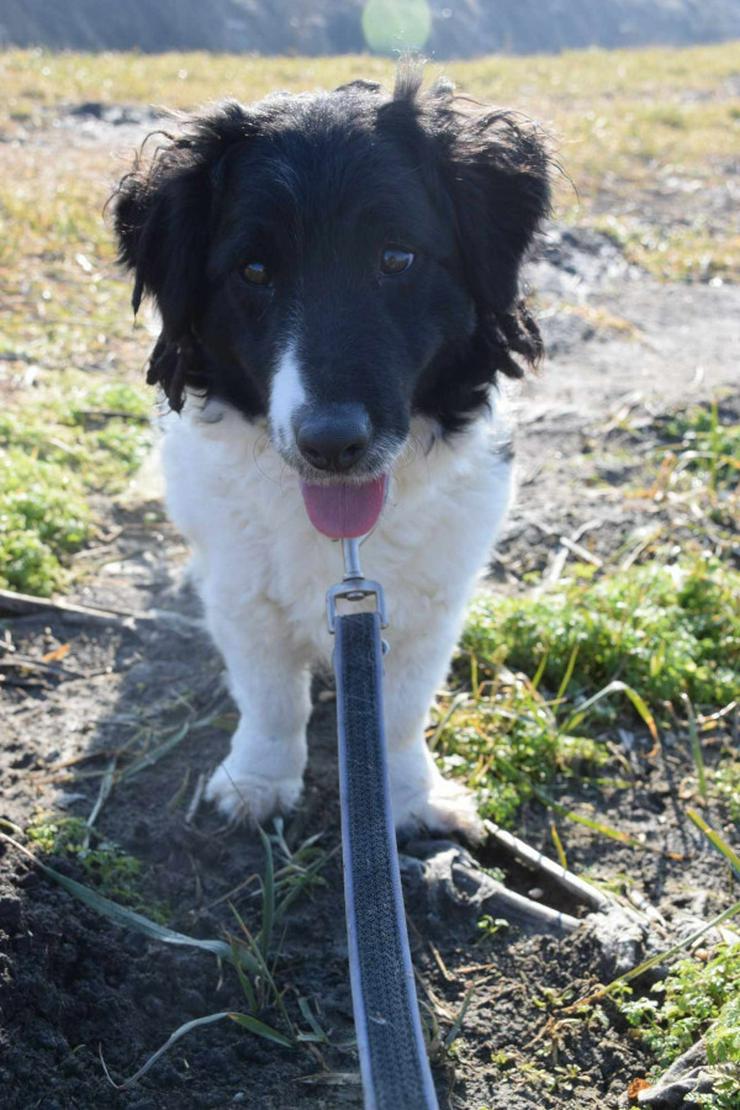 Elinor sucht ein tolles Zuhause.