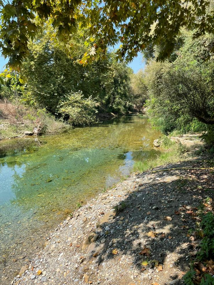 Bild 2: 1109 Ihr neues Zuhause am Fluss in Alanya Kestel