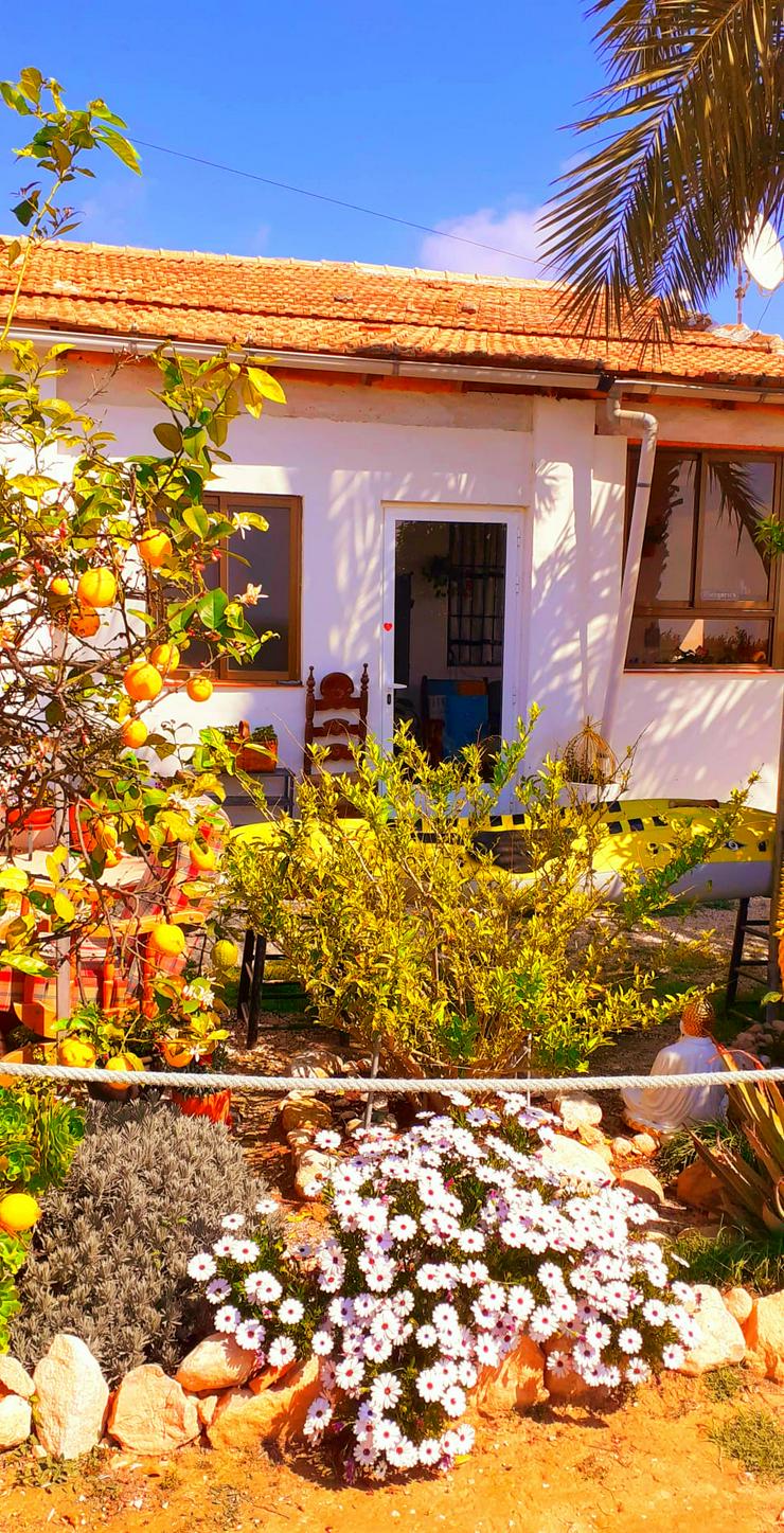 Single-Wohnung mit Garten SANTA POLA SPANIEN 