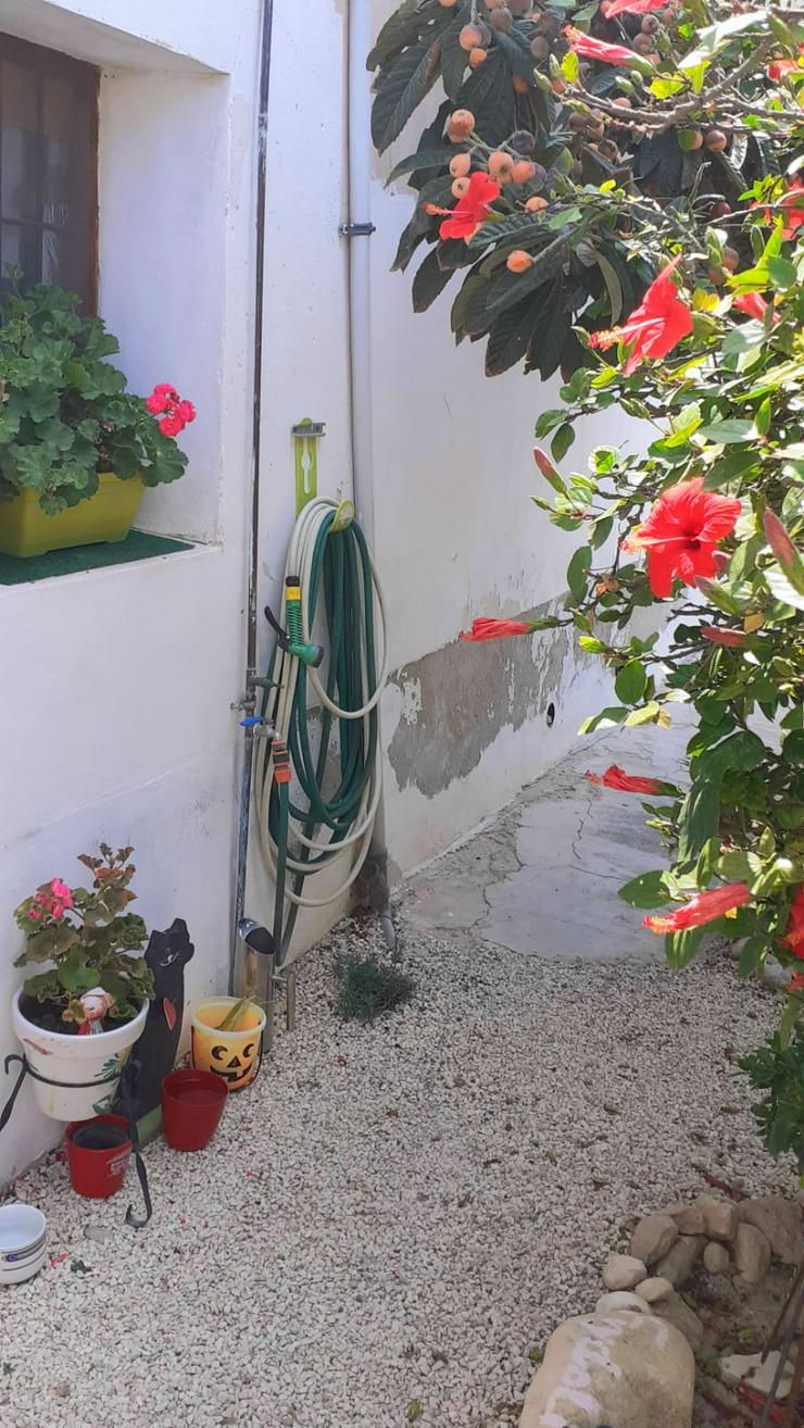 Bild 7: Single-Wohnung mit Garten SANTA POLA SPANIEN 