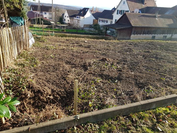 Bild 3: Baugrundstück erschlossen in Tannenkirch