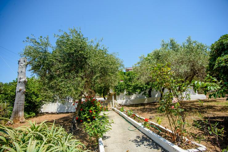 Bild 7: Griechenland, Insel Kefalonia Haus 2-6 Personen 80 meter von Sandstrand, Meersicht