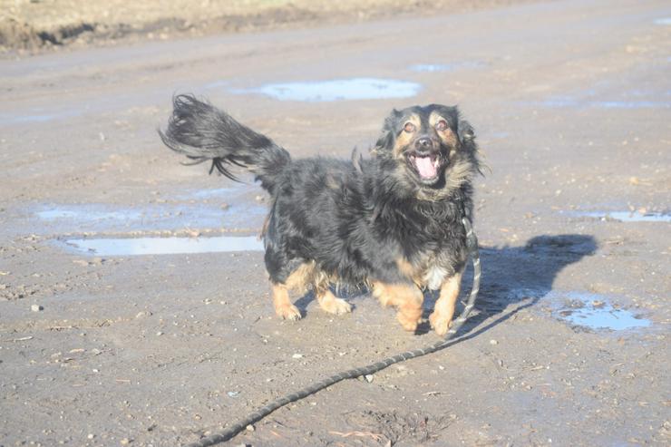 Bild 8: Stella ist eine kleine Persönlichkeit.