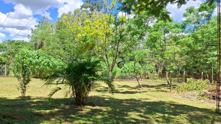 Bild 6: Haus mit Pool im Bereich Piribebuy / Paraguay