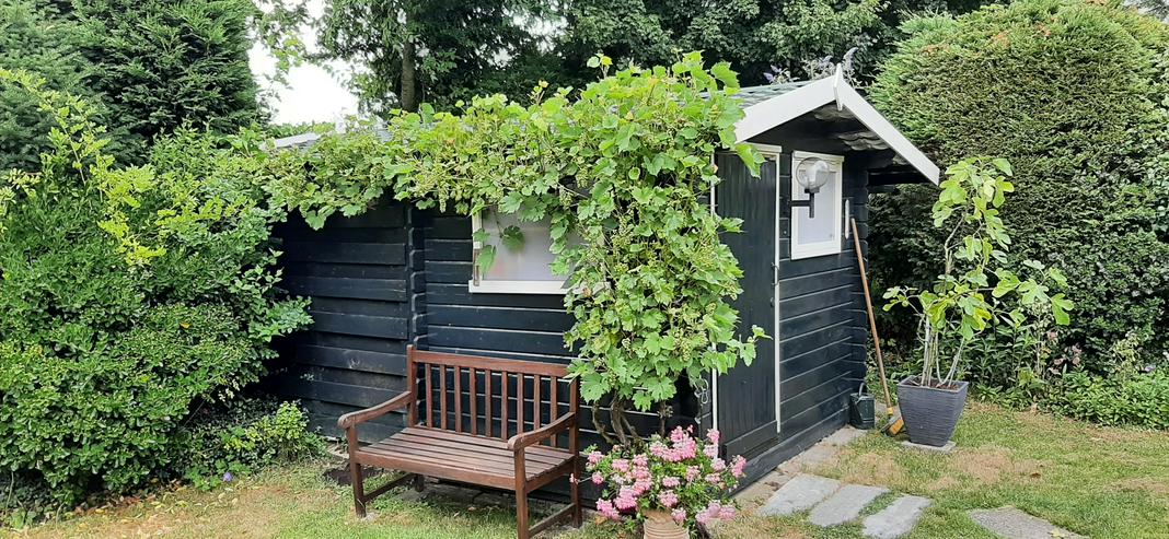 Bild 4: ZEELAND,STRANDNAH; 4P DÜNENHAUS MIETEN?