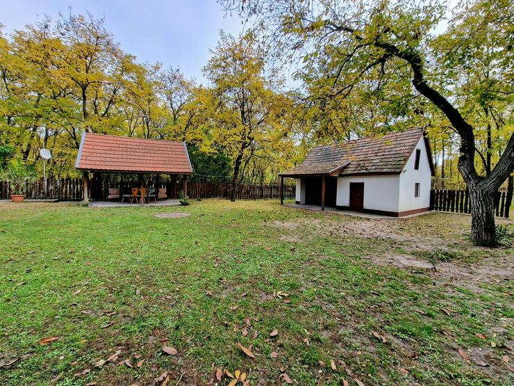 Bild 8: Bauernhaus Bauernhof Landhaus Haus Immobilien zum Kauf in Ungarn