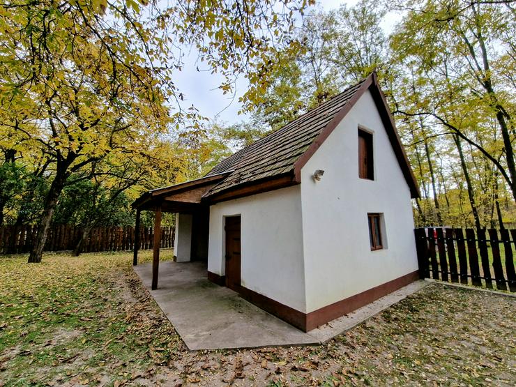 Bild 16: Bauernhaus Bauernhof Landhaus Haus Immobilien zum Kauf in Ungarn