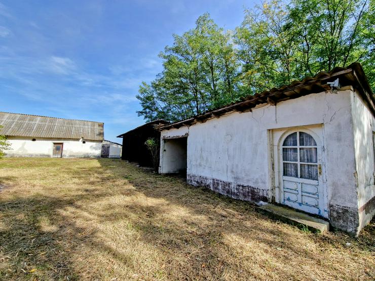 Bild 13: Bauernhaus Bauernhof Landhaus Haus Immobilien zum Kauf in Ungarn