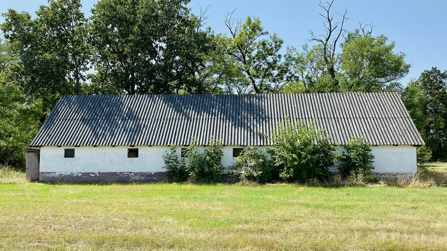 Bild 5: Bauernhaus Bauernhof Landhaus Haus Immobilien zum Kauf in Ungarn