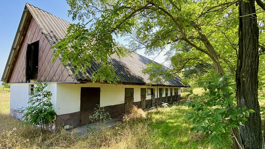 Bild 14: Bauernhaus Bauernhof Landhaus Haus Immobilien zum Kauf in Ungarn