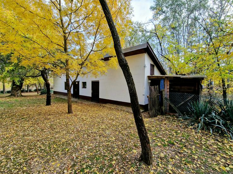 Bild 6: Bauernhaus Bauernhof Landhaus Haus Immobilien zum Kauf in Ungarn