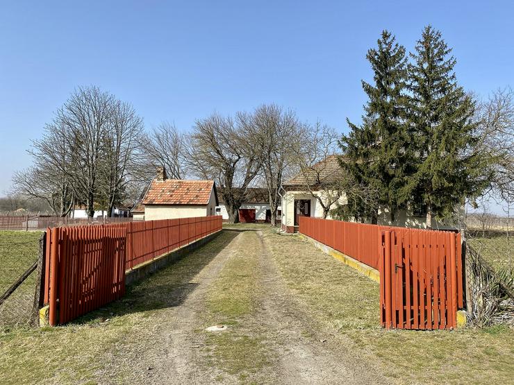 Bauernhaus Bauernhof Landhaus Haus Immobilien zum Kauf in Ungarn