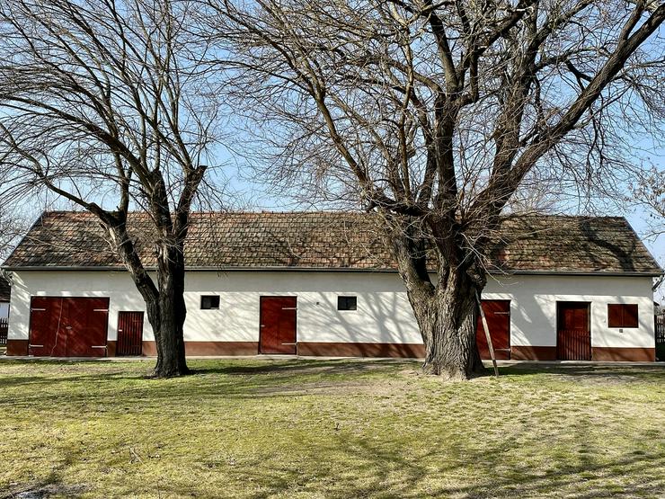 Bild 16: Bauernhaus Bauernhof Landhaus Haus Immobilien zum Kauf in Ungarn