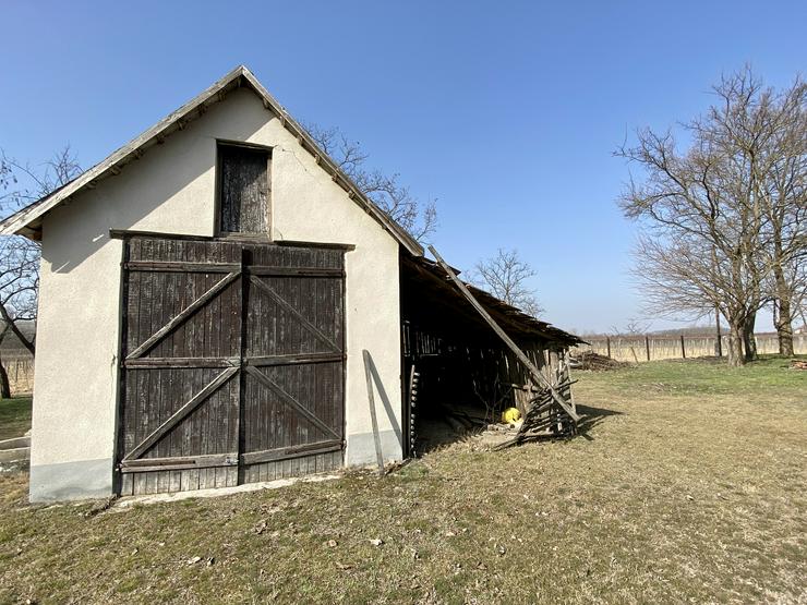 Bild 14: Bauernhaus Bauernhof Landhaus Haus Immobilien zum Kauf in Ungarn