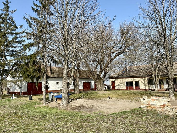 Bild 13: Bauernhaus Bauernhof Landhaus Haus Immobilien zum Kauf in Ungarn