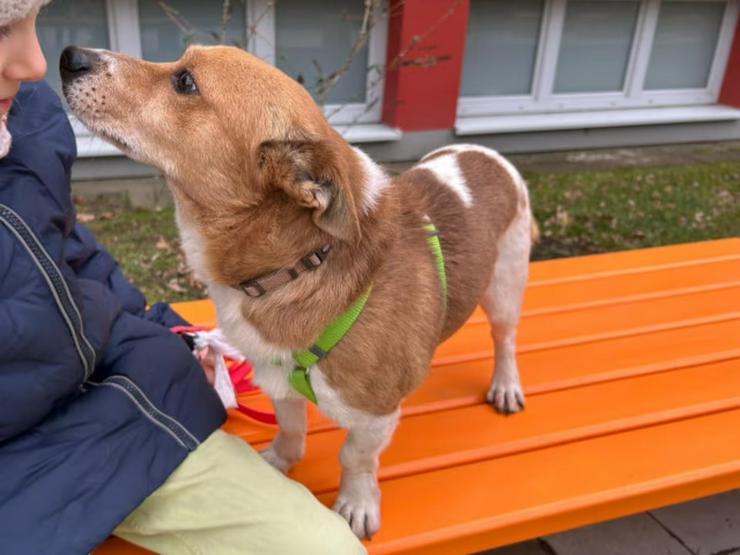 Bild 2: Menschenbezogener, unkomplizierter Kevin sucht seine Familie