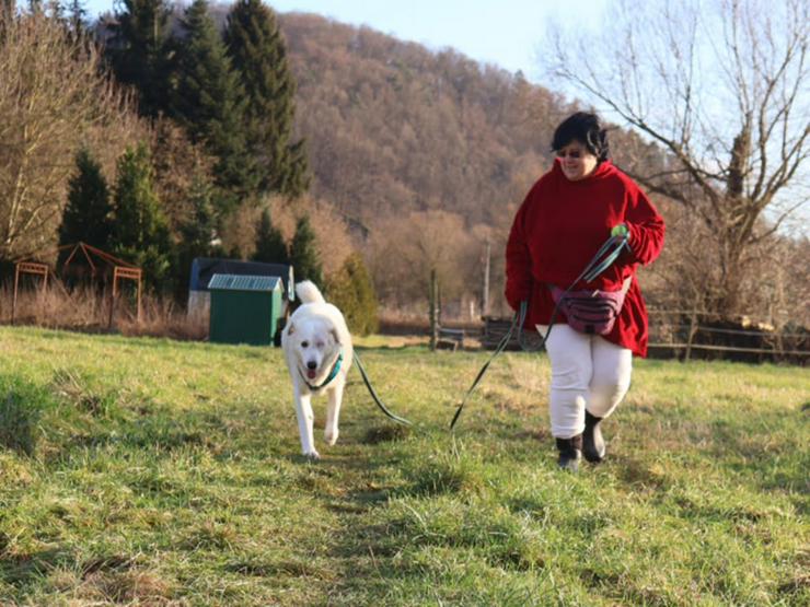 Bild 4: Traumhund Kael möchte Ihr Herz erobern