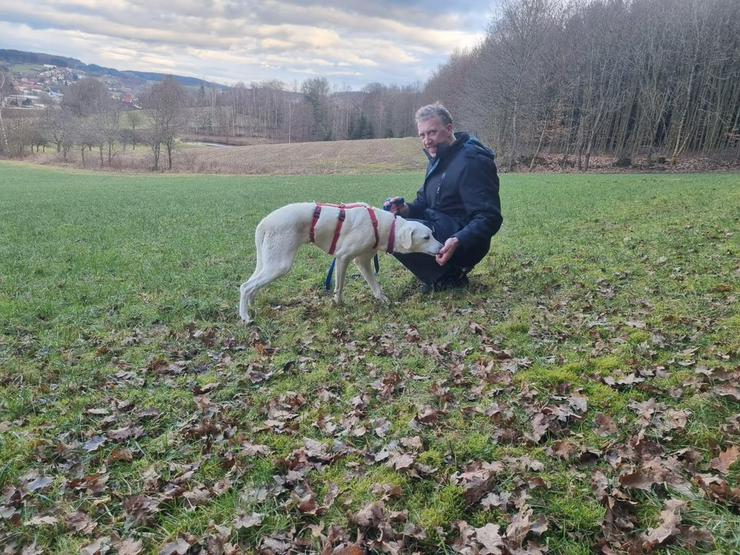 Bild 6: Wunderbare Marte sucht ihr liebevolles Zuhause