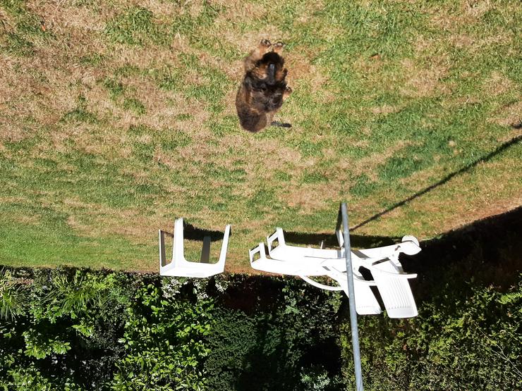 Bild 18: ZEELAND,    SEHR STRANDNAH;    4P DÜNENHAUS MIETEN?