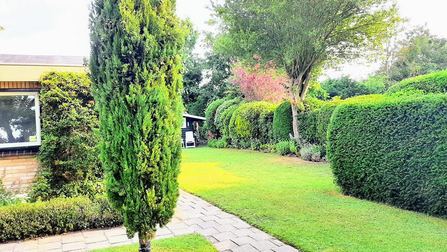 Bild 16: ZEELAND,    SEHR STRANDNAH;    4P DÜNENHAUS MIETEN?